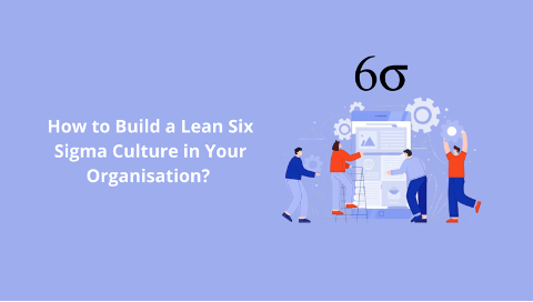 How to Build a Lean Six Sigma Culture in Your Organisation?